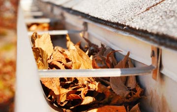 Pleasant Valley gutter cleaning companies